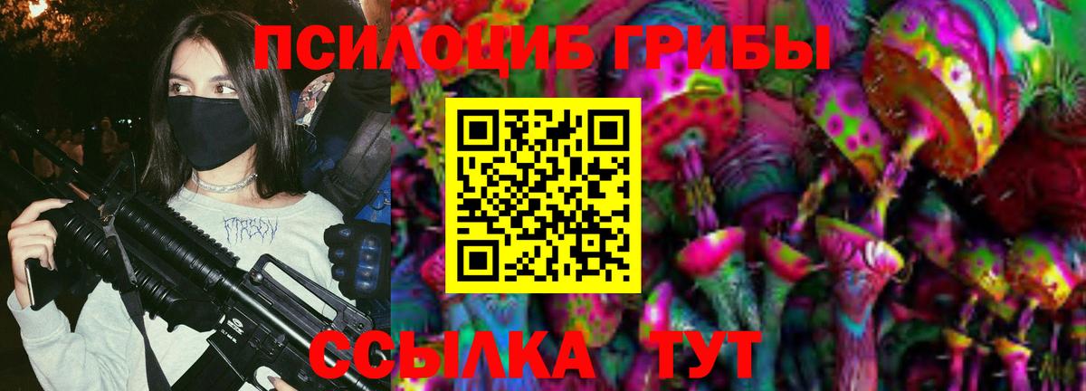 Галлюциногенные грибы Magic Shrooms  Галлюциногенные грибы Psilocybe  Зима  Вход с VPN 